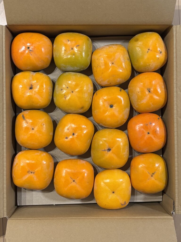 ダンボール箱に二段でぎっしり詰まった和歌山県産の平核無柿