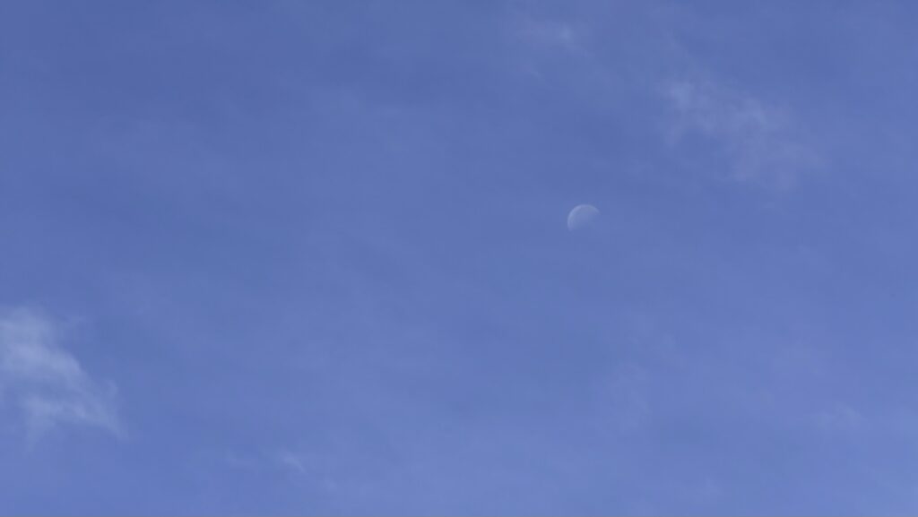 6月の青空に薄い雲と昼間の月が浮かぶ月曜日の朝