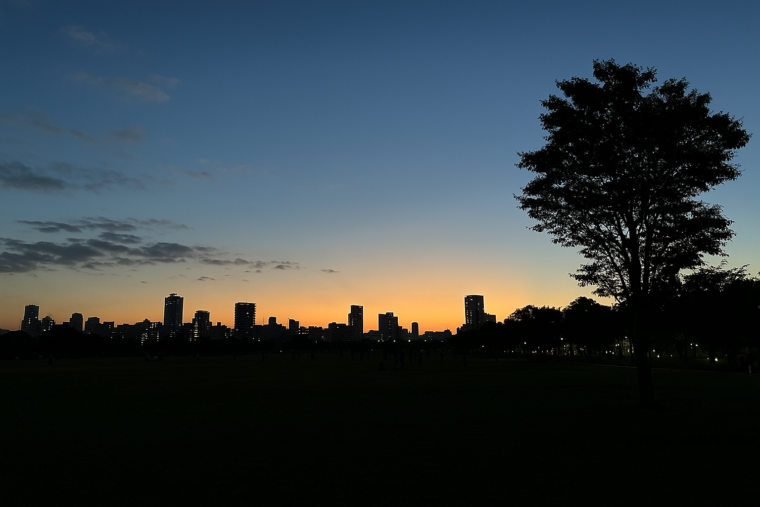 行けなかった万博