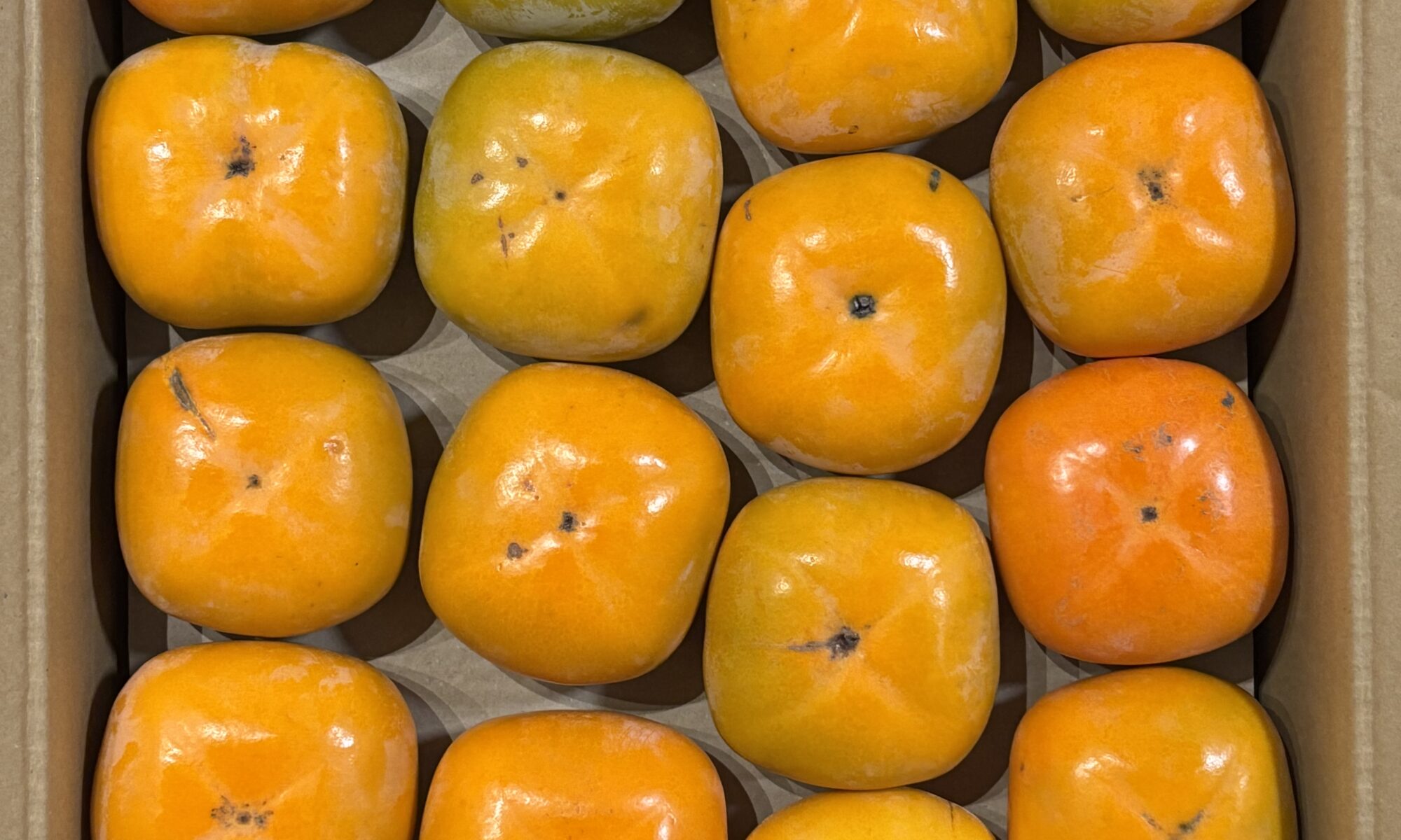 ダンボール箱に二段でぎっしり詰まった和歌山県産の平核無柿