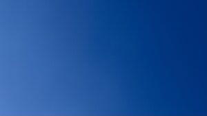 シミ取り1週間後の経過観察の記録